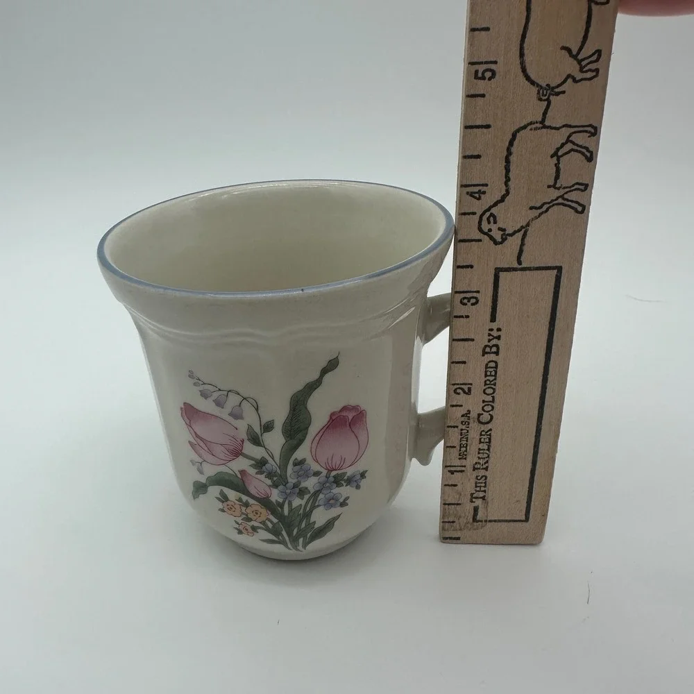 Gibson Tivoli Lafayette Cup and Saucer Set Floral Stoneware Pink Tulip 8pc